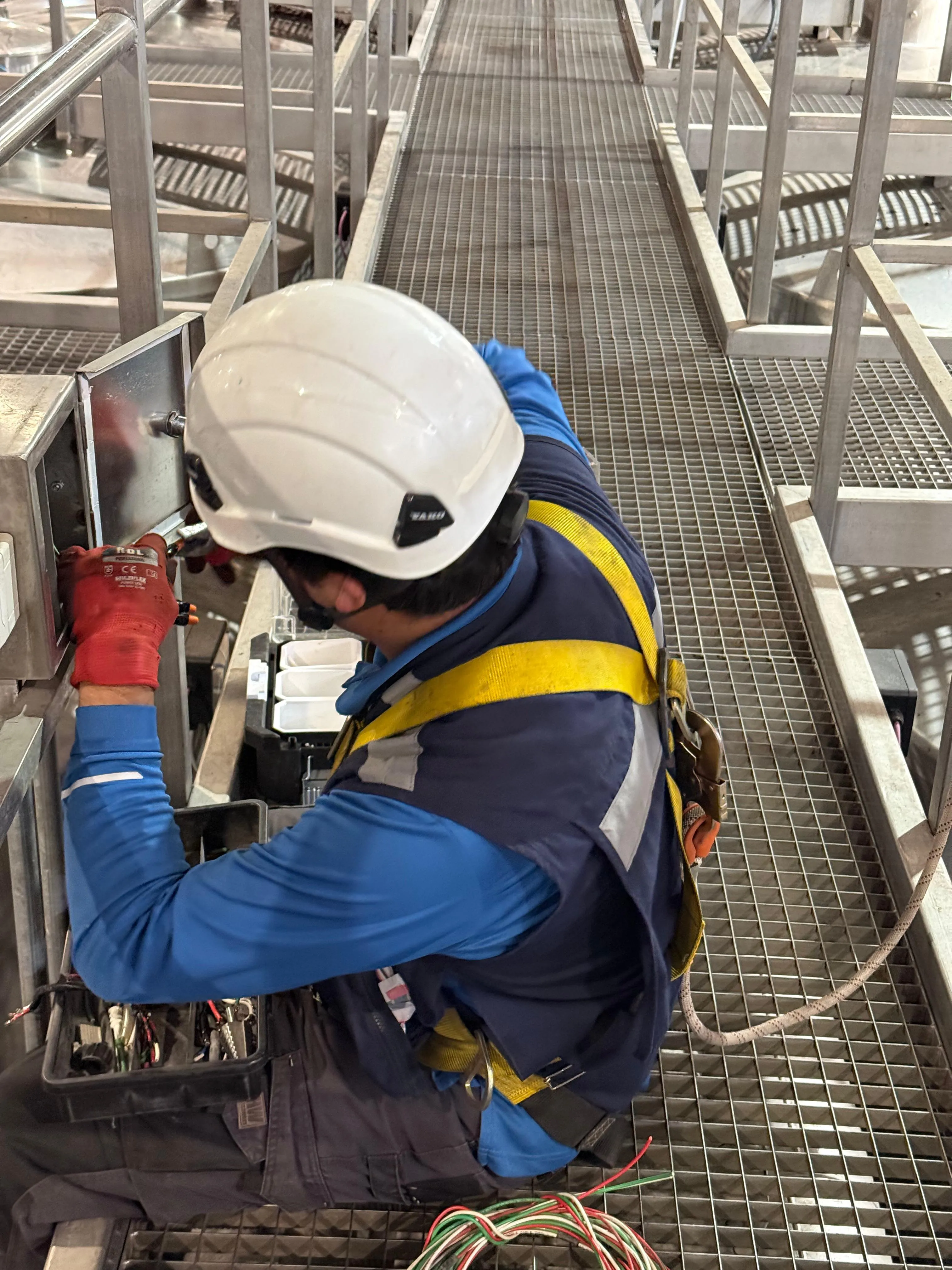 Normalización de Circuitos de Fuerza en Bodega Industrial